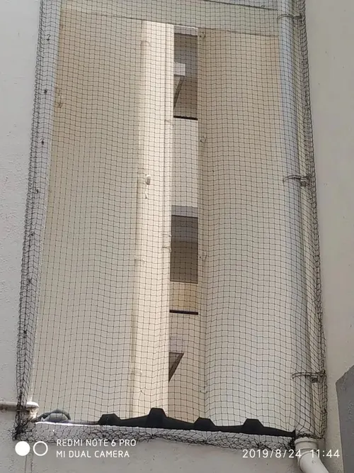 Bird netting for windows